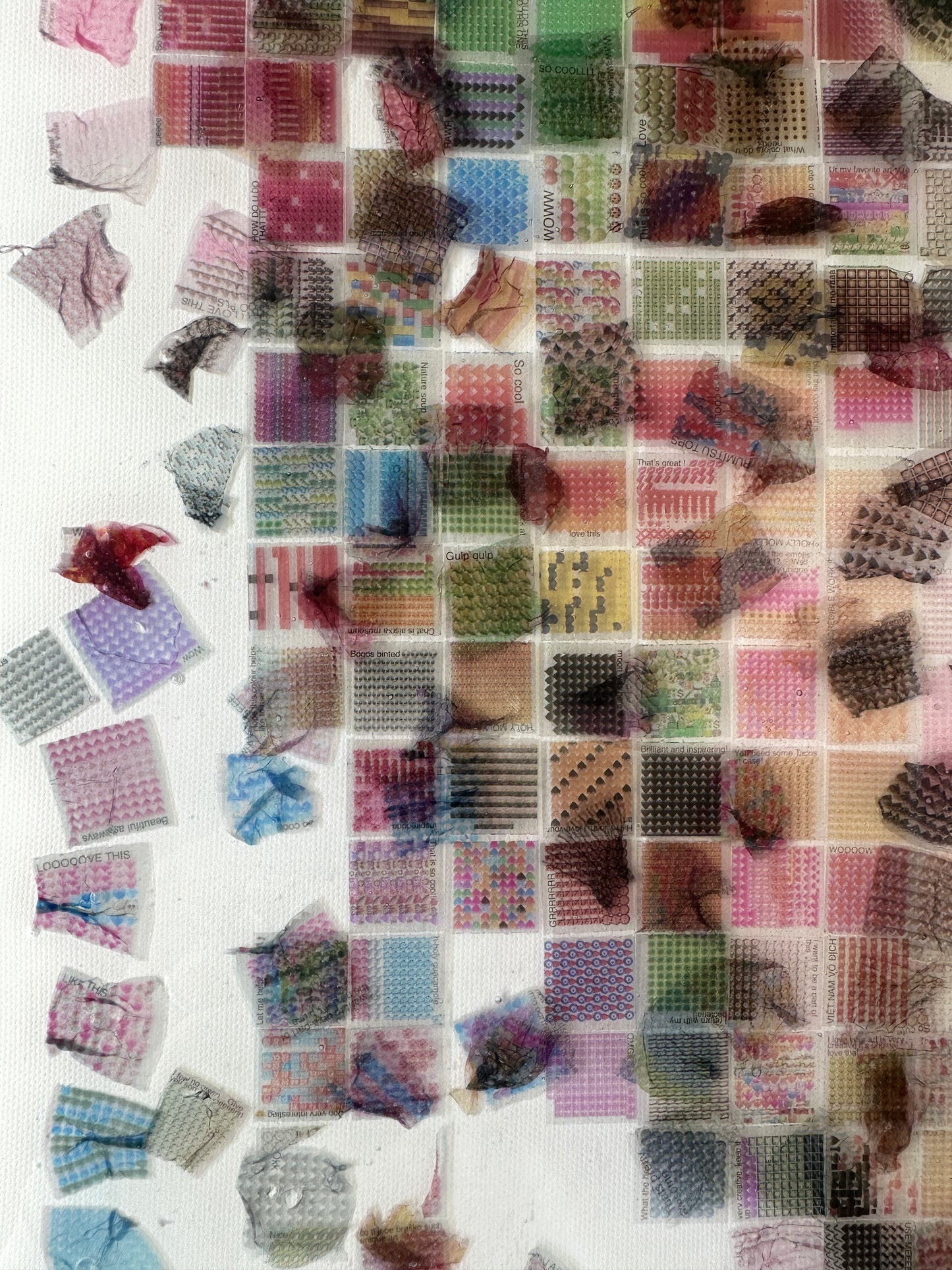 Echolocation #5