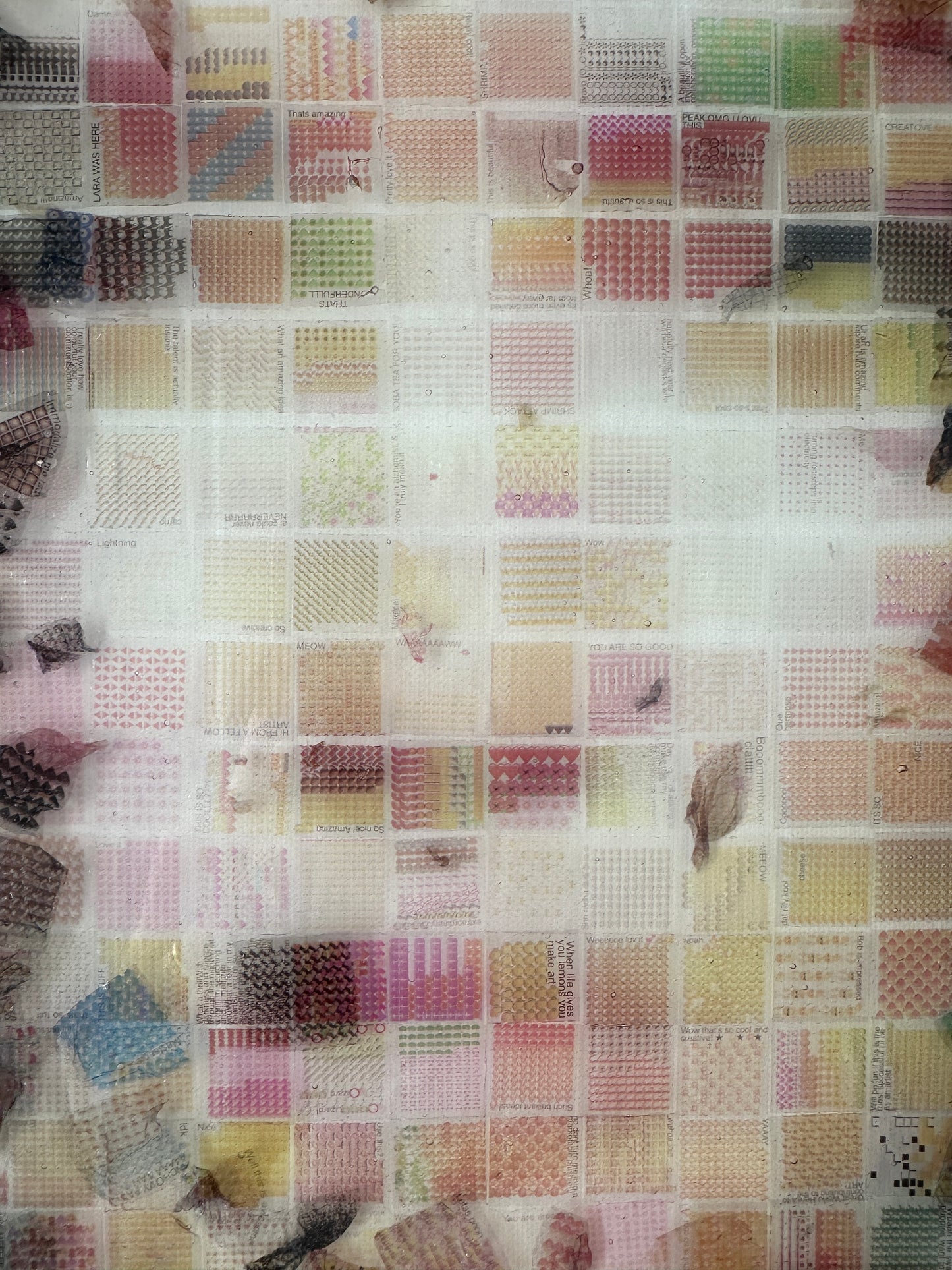 Echolocation #5