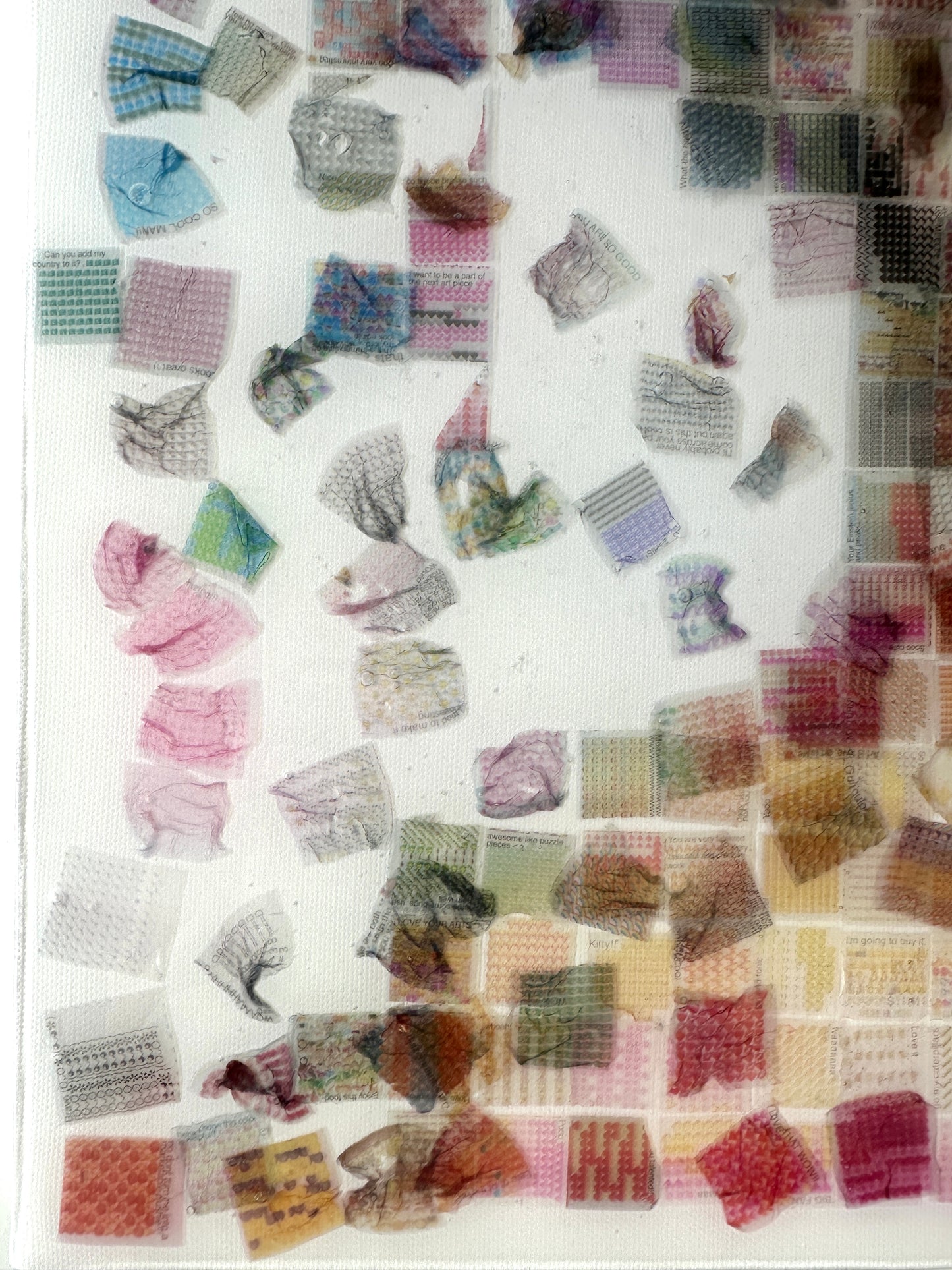 Echolocation #5