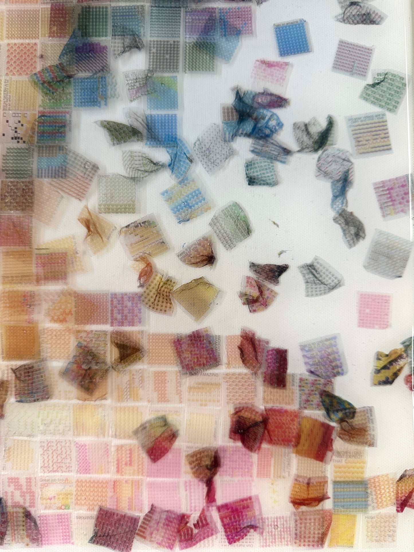 Echolocation #5